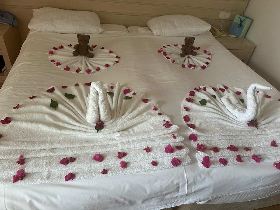 Zimmer Seaden Corolla Hotel