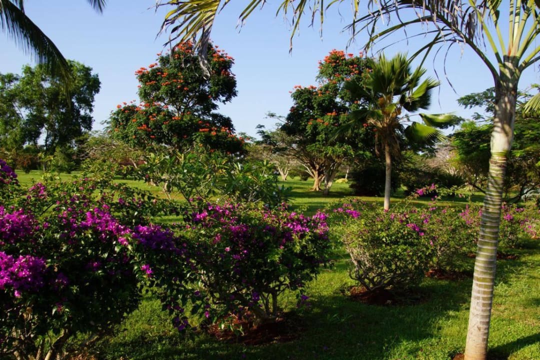 Parkähnlich Neptune Pwani Beach Resort & Spa