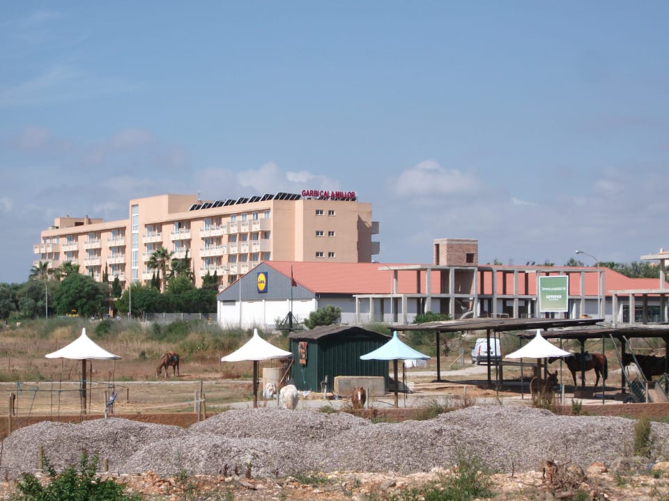 Der Discounter neben den Hotel Garbí Cala Millor
