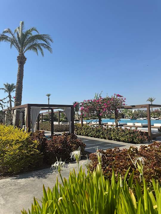 Pool Steigenberger Resort Ras Soma