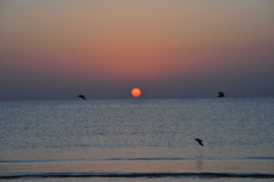Sunrise Hotel Gorgonia Beach Resort