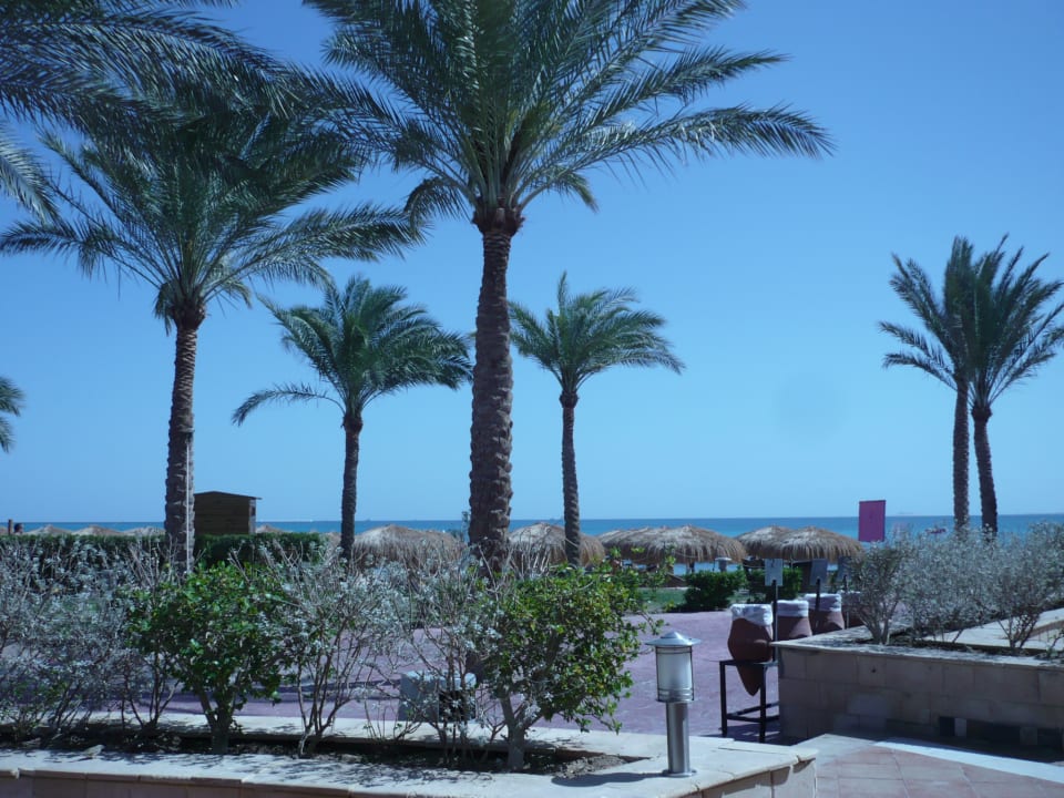 Strand Sentido Caribbean World Soma Bay