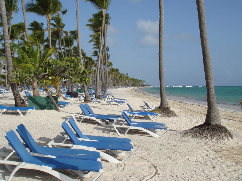 Viele Liegen Barceló Bávaro Palace