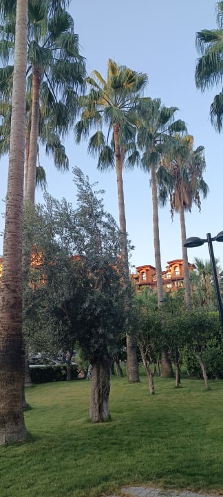 Gartenanlage Seher Kumköy Star Resort & Spa