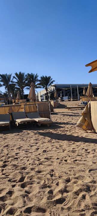 Ausblick Serenity Alpha Beach