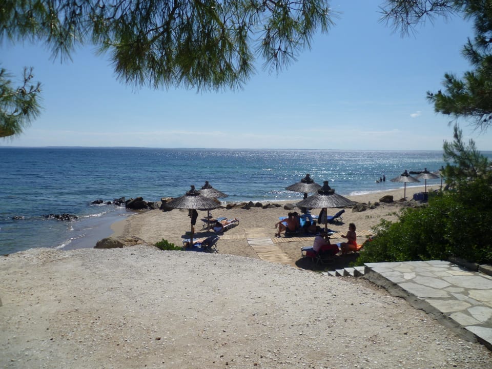 Strand Blue Dolphin Resort Hotel