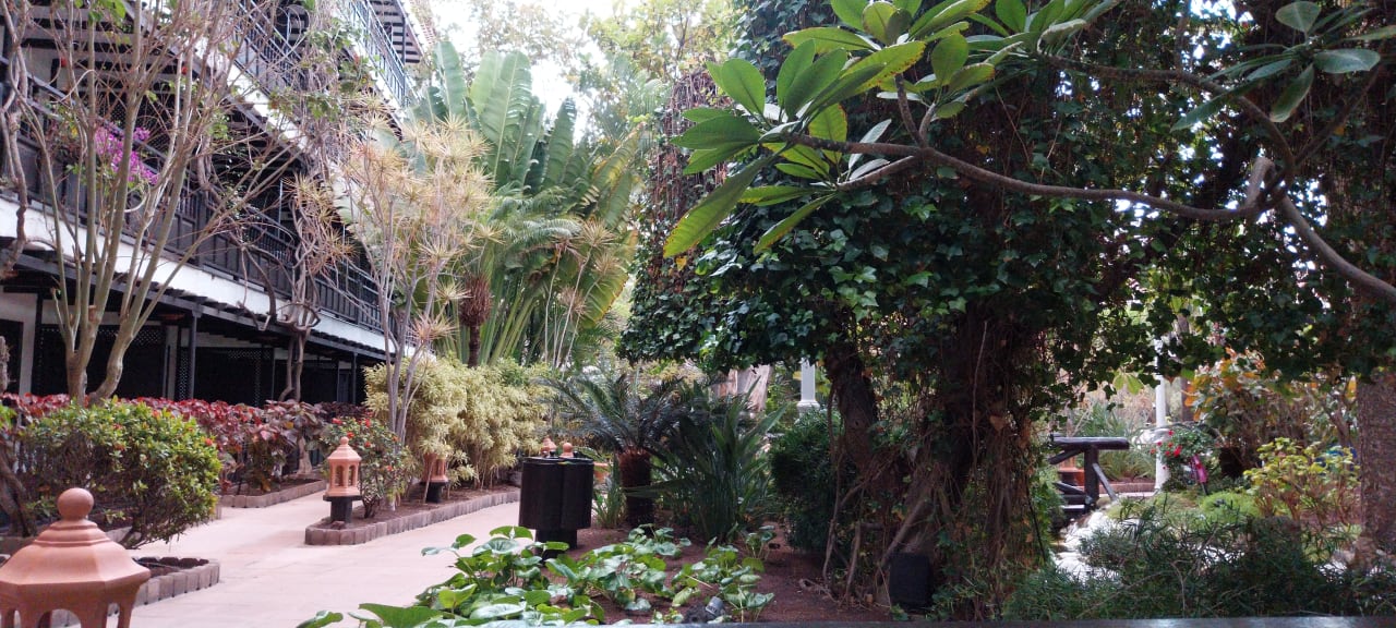 Gartenanlage Hotel Parque Tropical