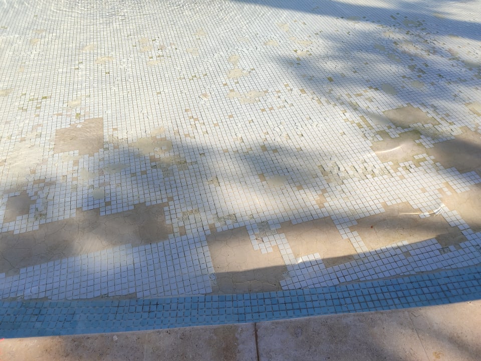 Zimmer Makadi Spa - Adults only