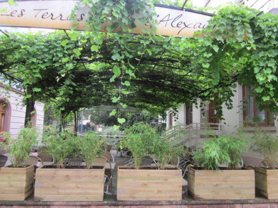 Niederbronn les Bains, Hotel du Parc Hotel du Parc