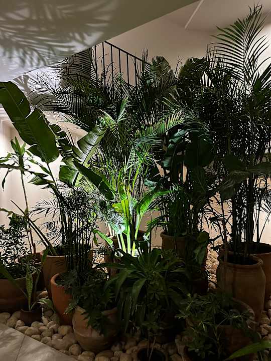 Gartenanlage Serry Beach Resort