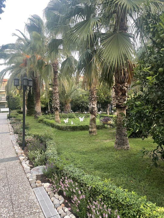 Gartenanlage Paloma Oceana