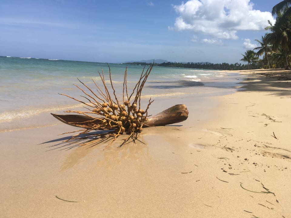 Strand Bahia Principe Grand El Portillo