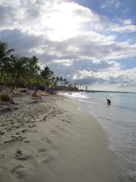 Strand  Hotel Viva Dominicus Palace by Wyndham-All Inclusive Resort