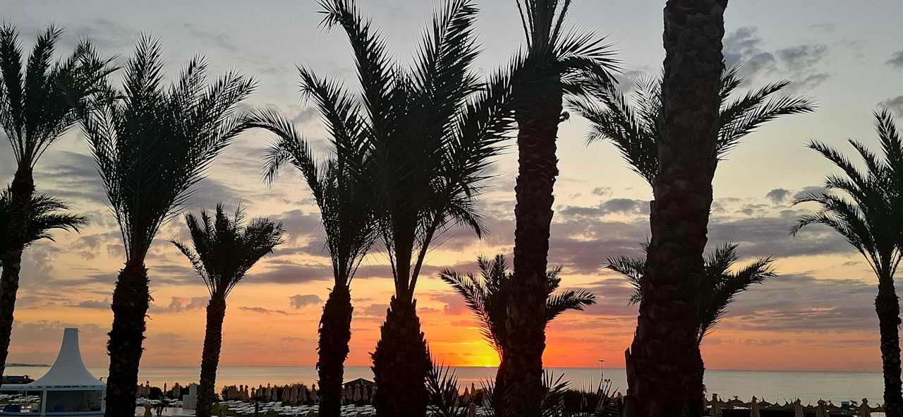 Ausblick Iberostar Waves Averroes