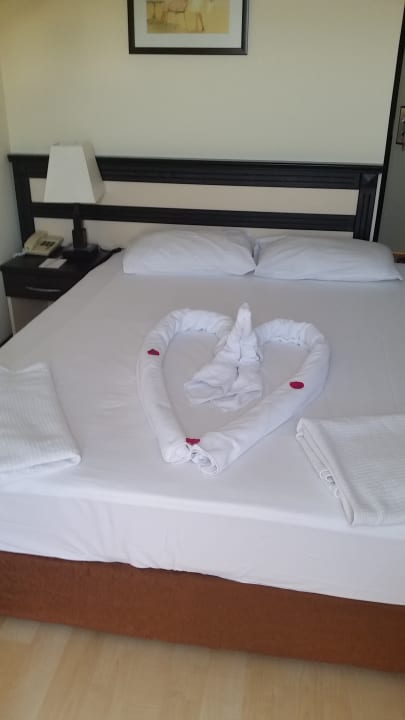 Zimmer Hotel Orfeus Park