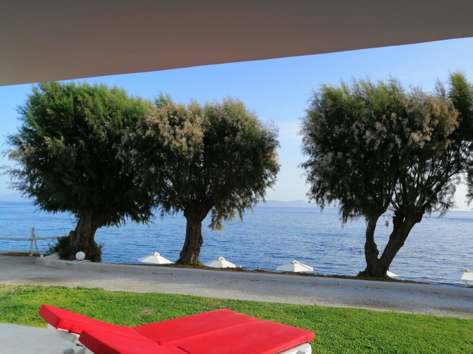 Ausblick Dimitra Beach Hotel & Suites