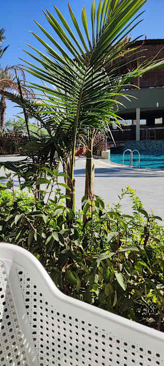 Außenansicht Dream Fun World