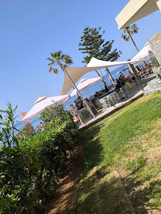 Gartenanlage allsun Hotel Malia Beach