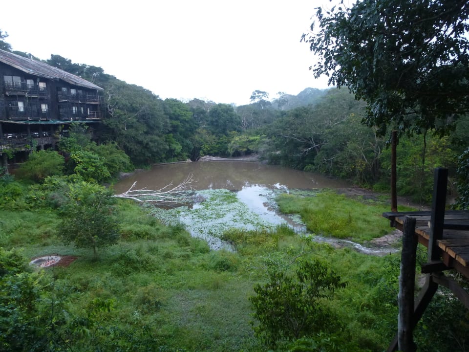 Blick vom Naturpfad auf die Lodge Shimba Hills Lodge