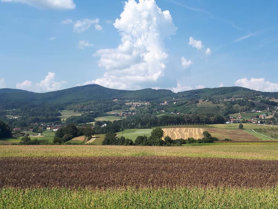 Außenansicht Wilfinger Ring Bio Hotel