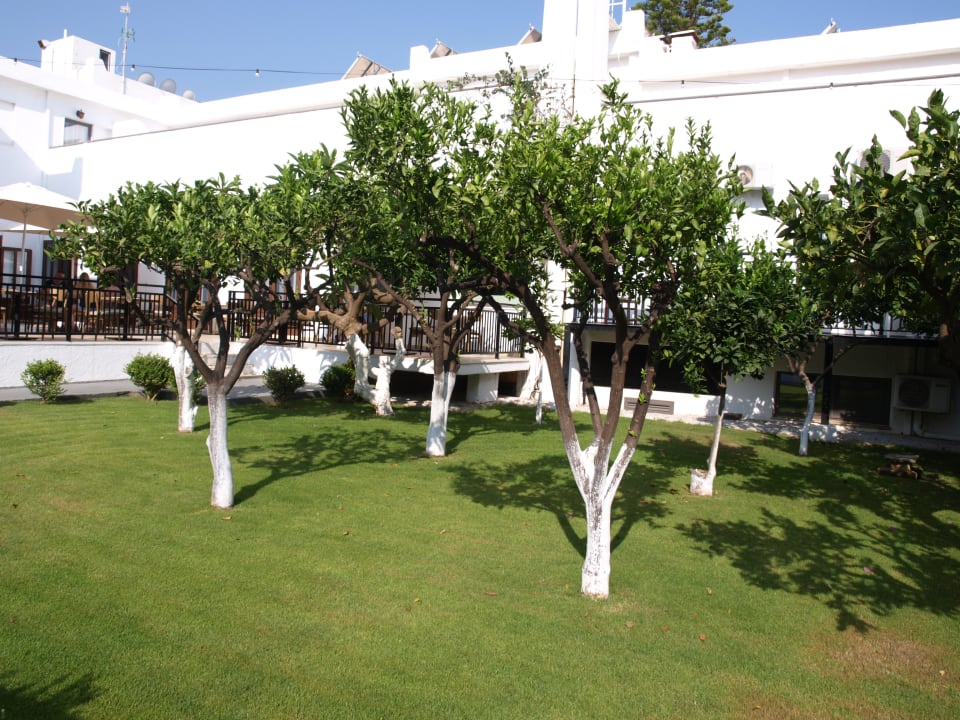 Gartenanlage Hotel Malia Holidays