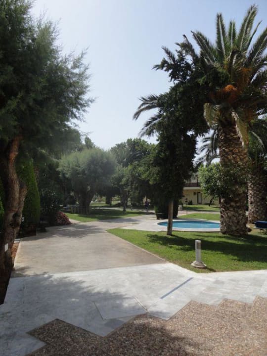 Ogród allsun Hotel Malia Beach