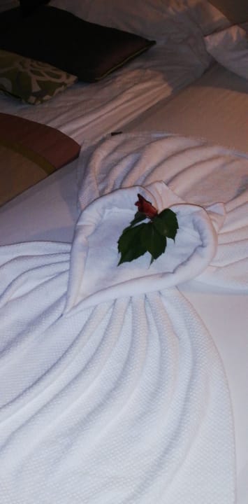 Zimmer Side Alegria Hotel & Spa - Adults only +16