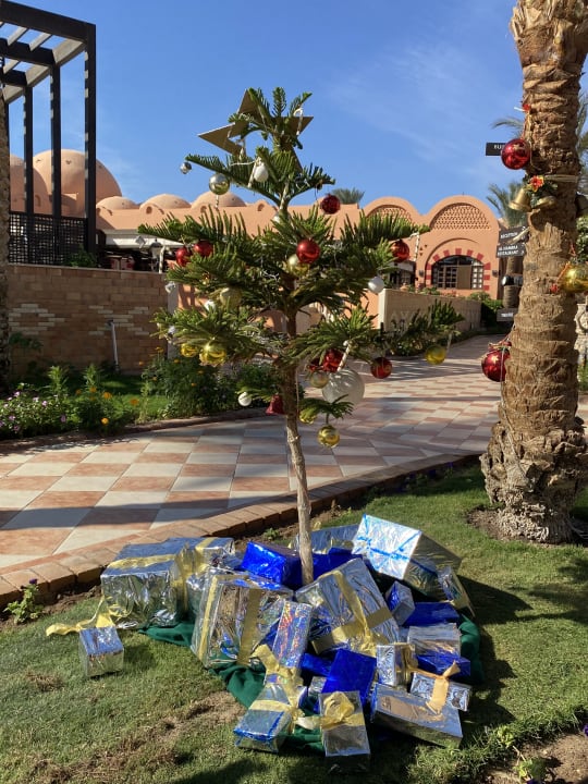 Gartenanlage Jaz Makadi Oasis Resort