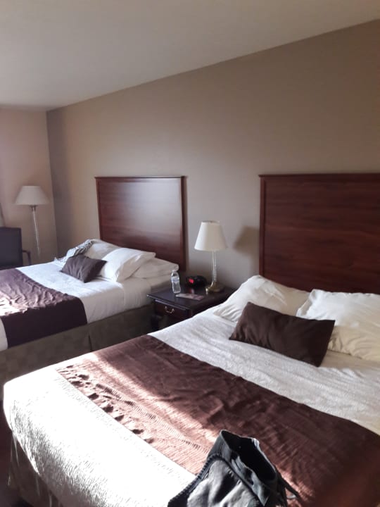 Zimmer Best Western John Jay Inn & Suites