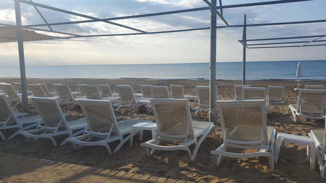 Strand Seashell Vega