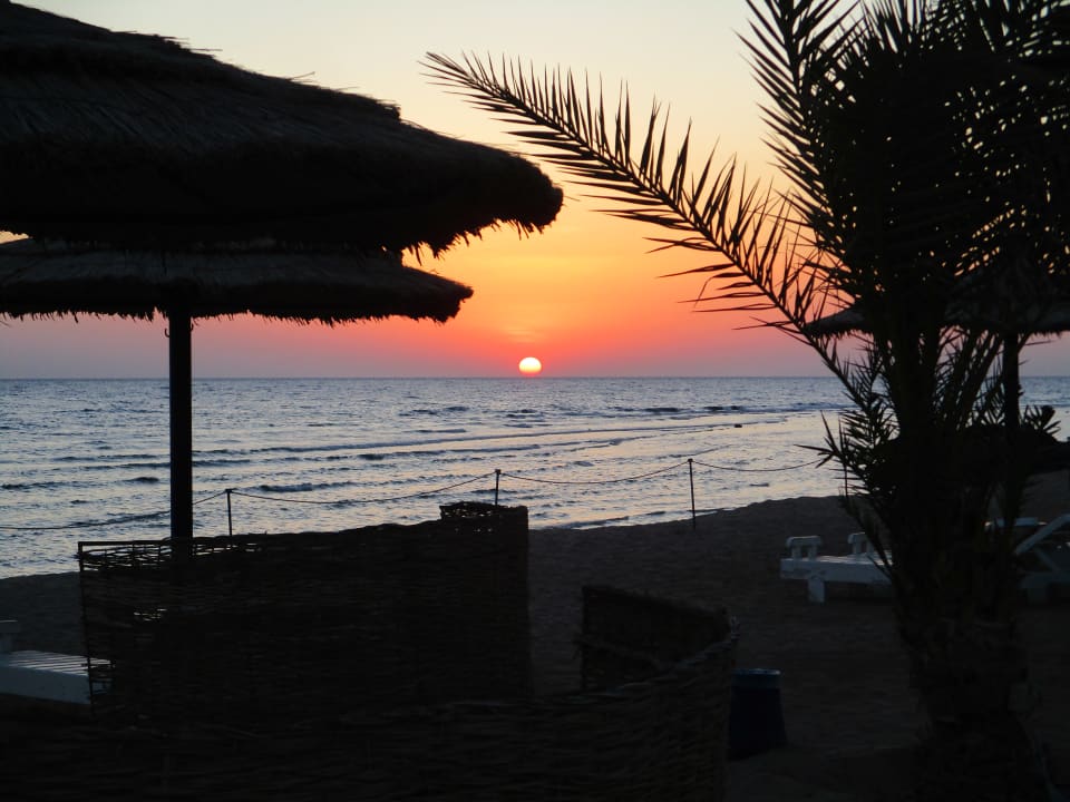Strand Coral Sun Beach