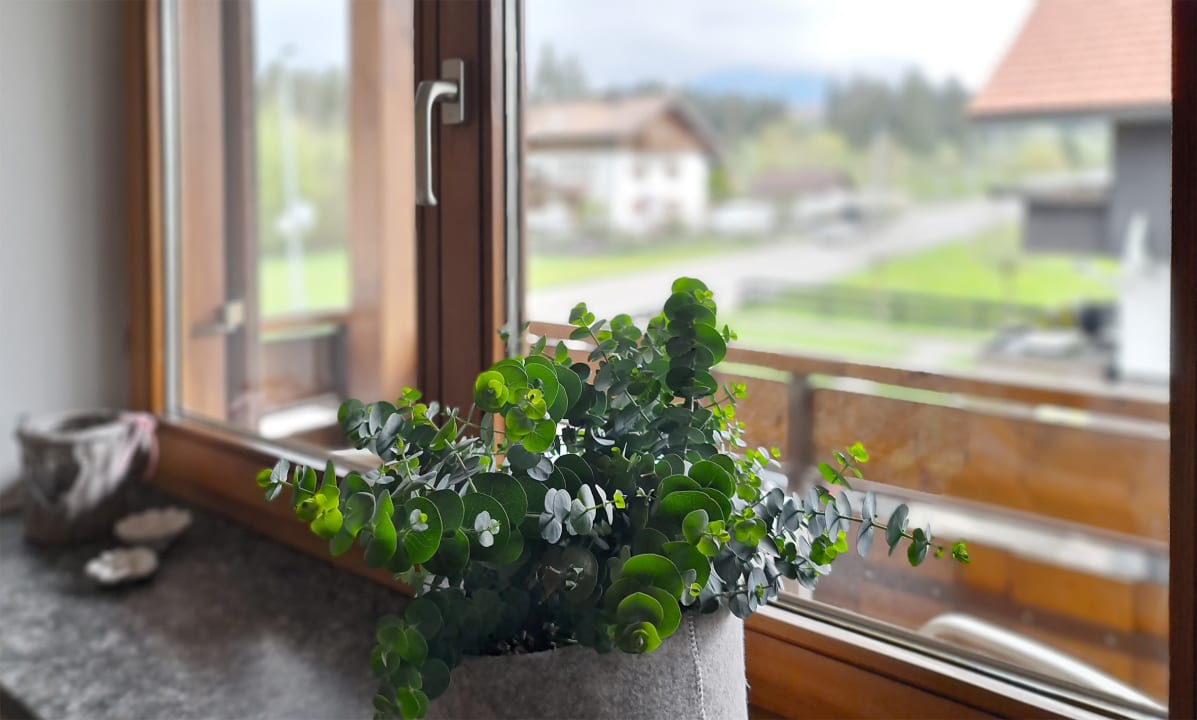 Ausblick Goldvogel Apartments