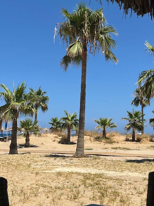 Gartenanlage Delfina Tropic Beach