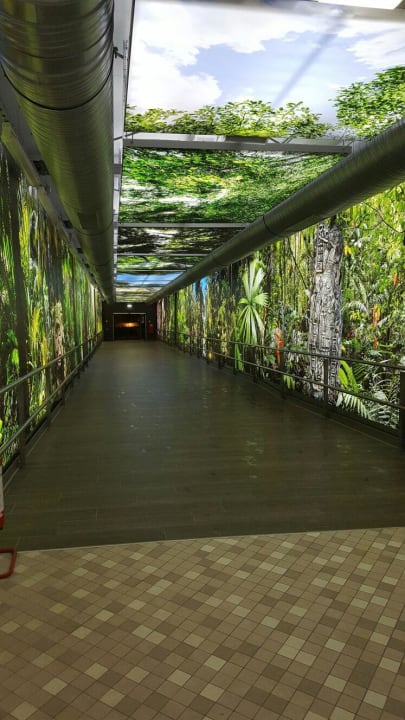 Gang nach Amazonia  Tropical Islands Resort