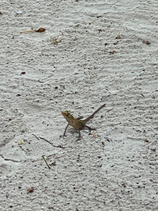 Sonstiges Komandoo Island Resort & Spa - Adults only