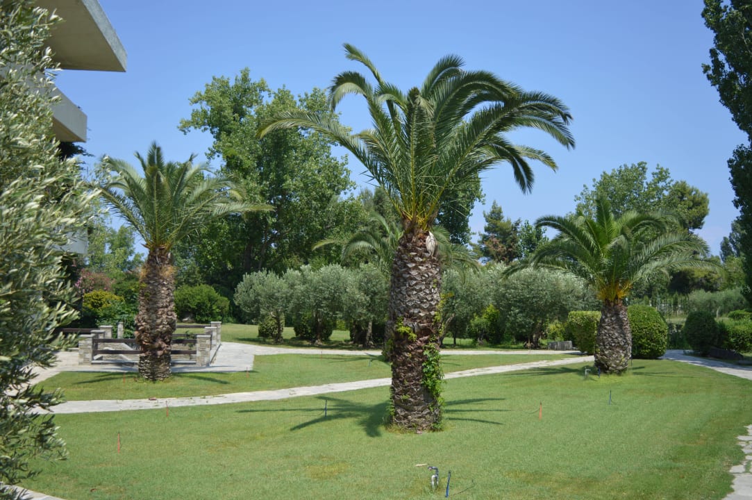 Hotel Hotel Athos Palace