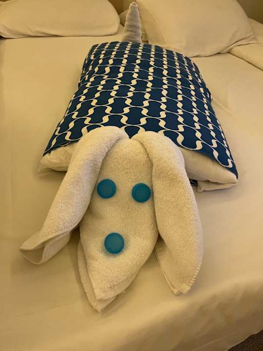 Zimmer Pickalbatros Aqua Vista Resort - Hurghada