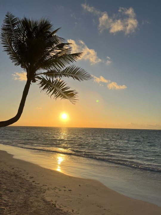Strand Akumal Bay Beach & Wellness Resort