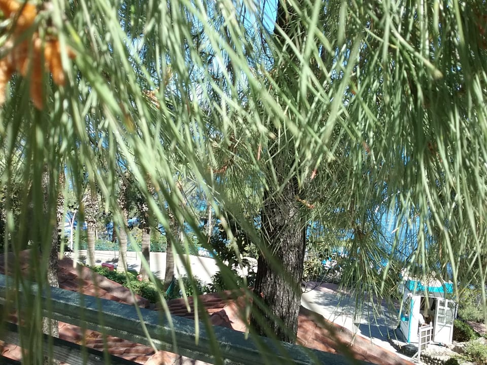 Außenansicht Labranda Mares Marmaris