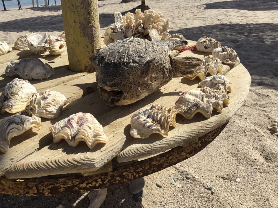 Strand Bliss Nada Beach Resort