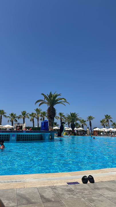 Pool Hotel Botanik Platinum