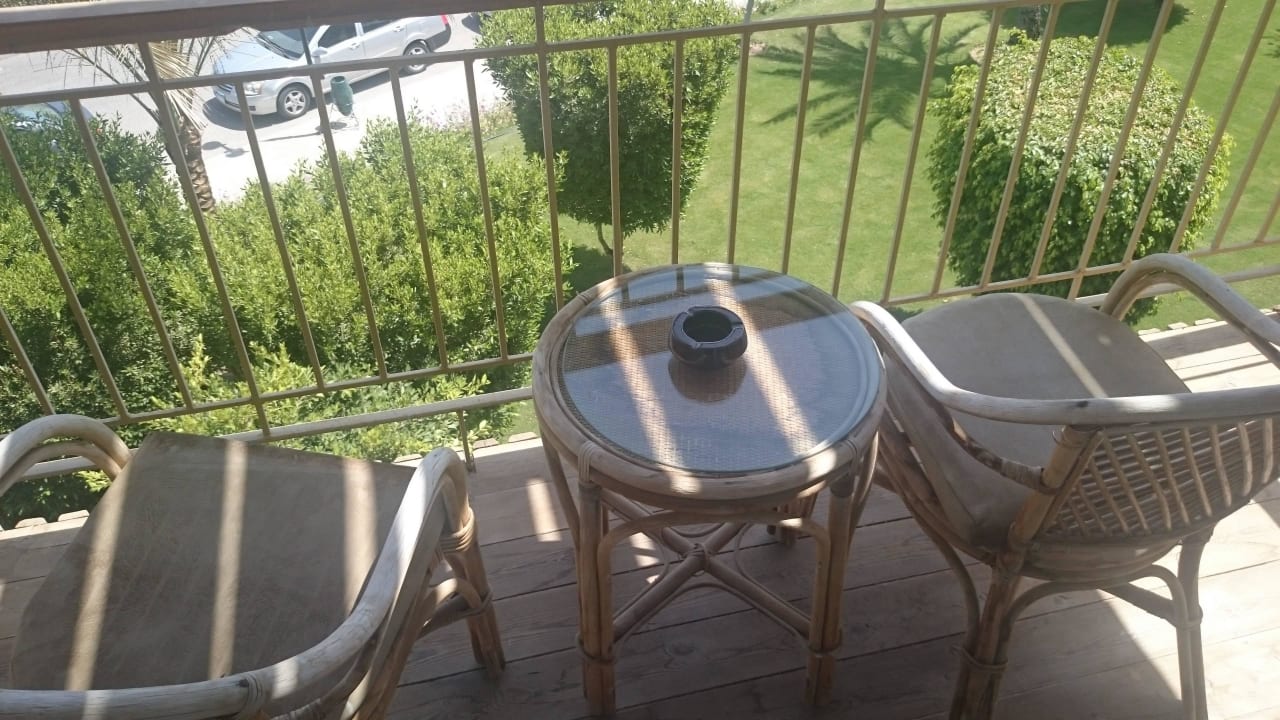 Unser Balkon Desert Rose