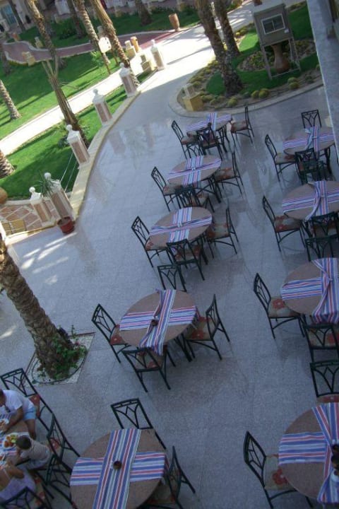 Restaurant- Terrasse Pickalbatros Palace Resort
