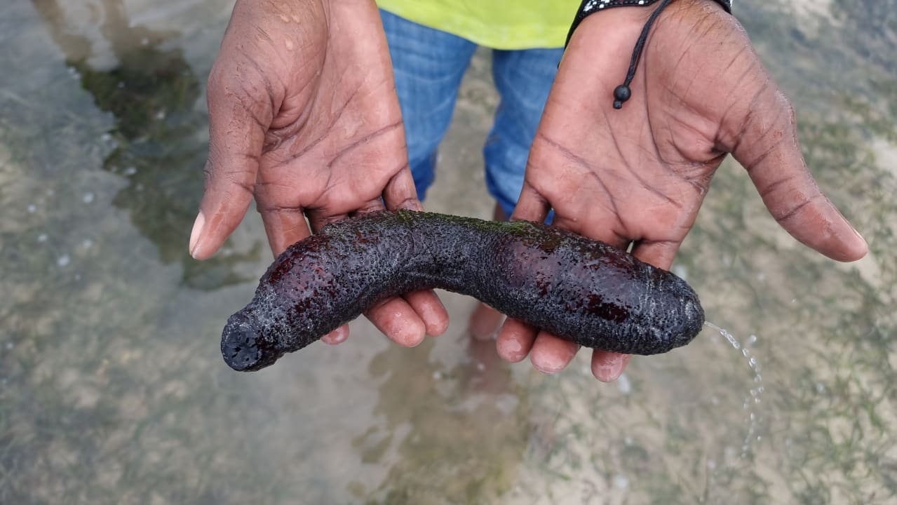 Strand Bahari Beach Hotel