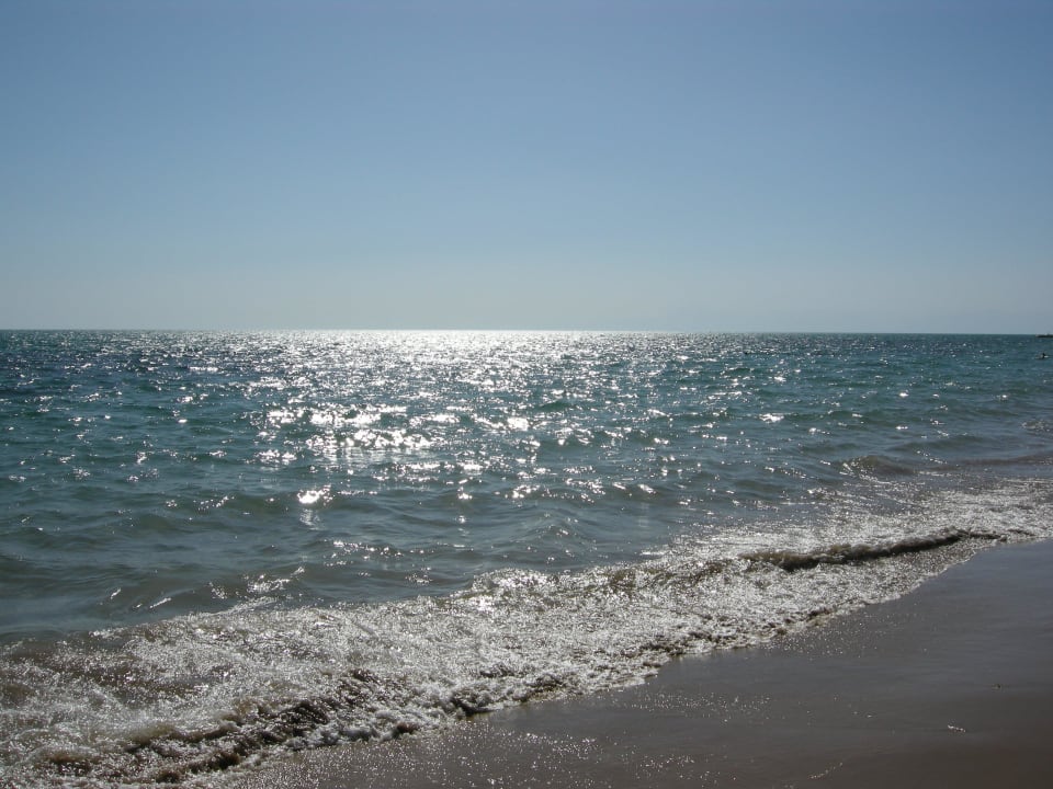 Ganz sauberes Wasser Hotel Novum Garden Side