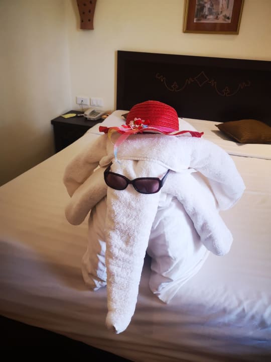 Zimmer Three Corners Sea Beach Resort