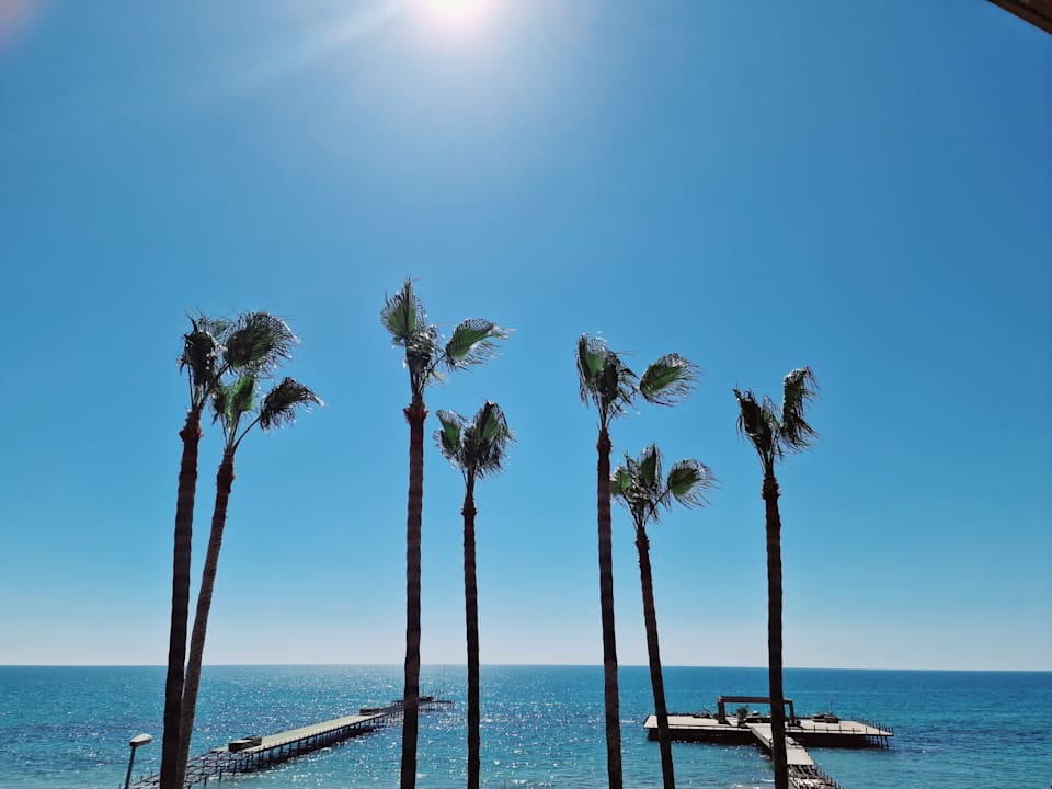 Ausblick Arum Barut Collection