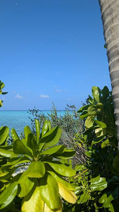 Außenansicht Summer Island Maldives