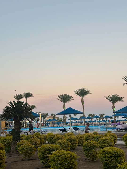 Pool Beach Albatros Resort