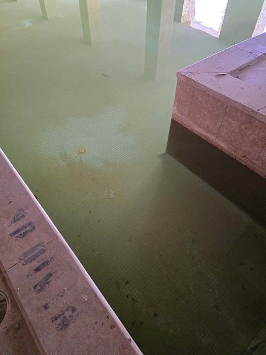 Pool Makadi Spa - Adults only